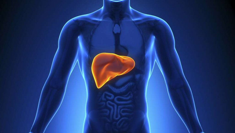 Liver Cancer Therapeutics Include Several Types Of Treatments Such As Chemotherapy, Radiation, Therapy And Targeted Therapy