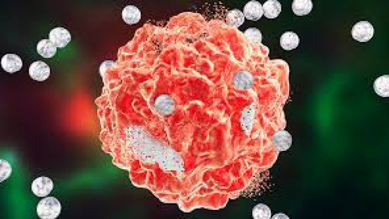 Nanomedicines Market Report- Demand, Size and Share and Future Forecast