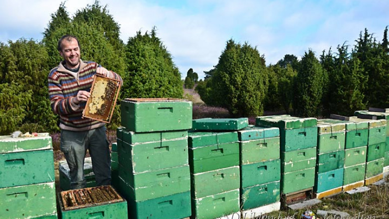 Obtain Honey - 4 Concerns You need to Ask Just before You Buy Honey