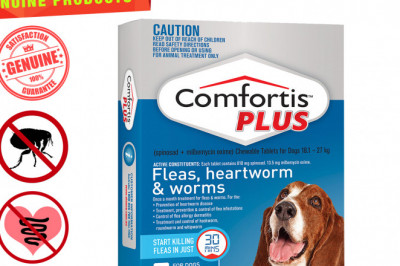 COMFORTIS PLUS for 18.1 to 27 Kg Dogs 6 Chews Flea Heartworm Control