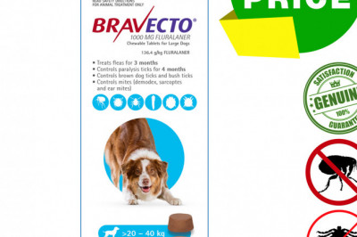 BRAVECTO 2 Chews for 20 to 40 Kg Dogs 3 months Tick and Flea Protection