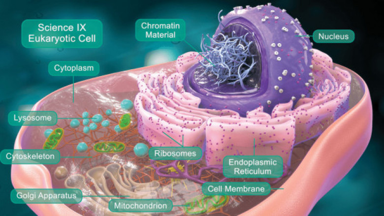Entab — Experience Innovative Learning Lab for K-12!