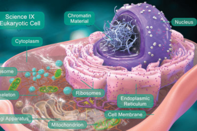 Entab — Experience Innovative Learning Lab for K-12!