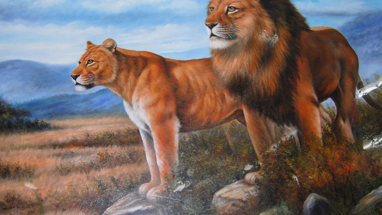 Find Stunning Paintings from a Renowned Art Gallery