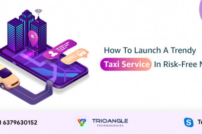 How To Launch A Trendy Taxi Service In Risk-Free Mode?