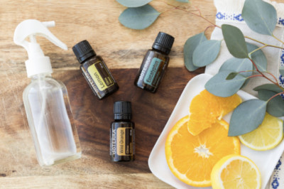 How to Use Essential Oils to Help Your Houseplants