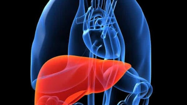 Liver Disease Diagnostics Market Size, Key Insights, Assumptions, Segmentation, and Forecast to 2028