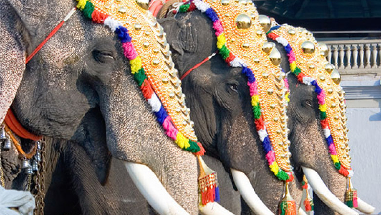 Onam celebrations across Kerala