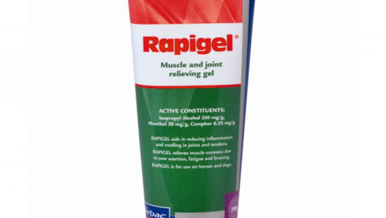Rapigel Muscle and Joint Relieving Gel 250G | DiscountPetCare