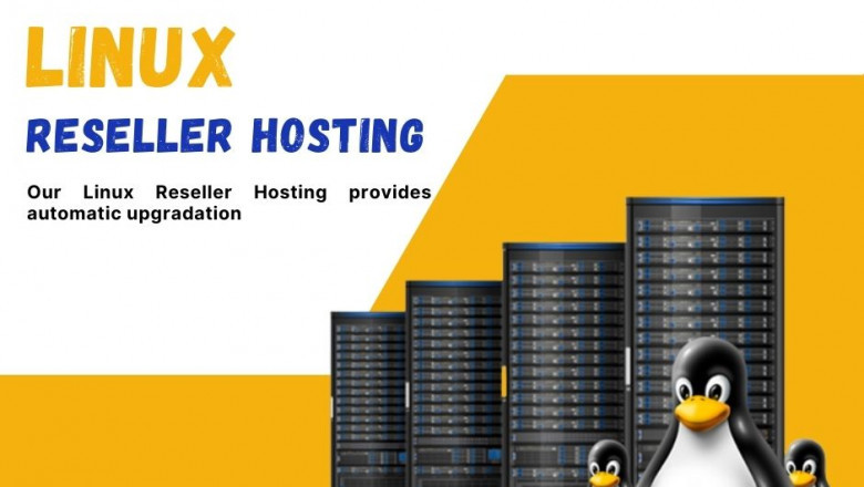 Why You Should Consider Linux Reseller Hosting