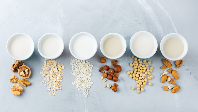 Dairy Alternatives Market Business Status, Industry Trends and Outlook 2021 to 2028