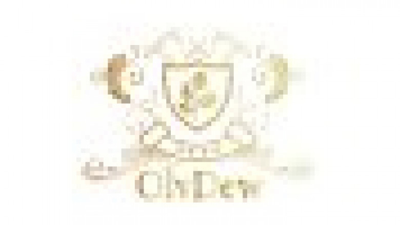 Organic Extra Virgin Oil by Olvdew as the Best oil for reducing cholesterol