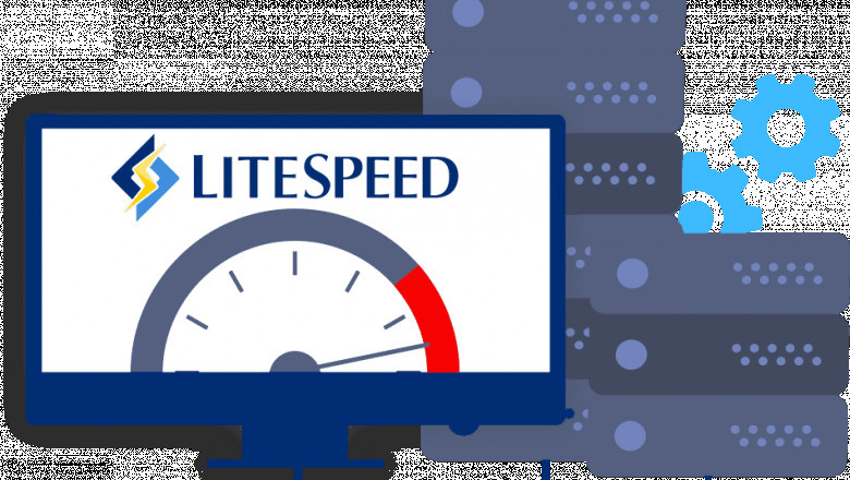Reasons Why LiteSpeed Web Hosting Is the Best Option