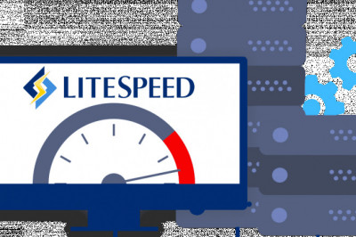 Reasons Why LiteSpeed Web Hosting Is the Best Option