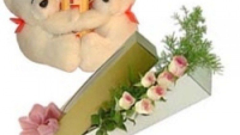 What to Look For Same Day Gift Delivery?