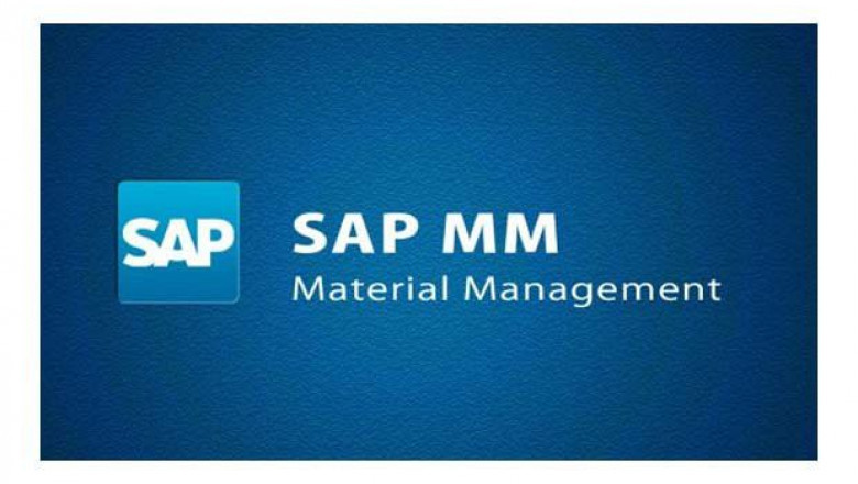 Beginner's Guide to SAP's MM Module