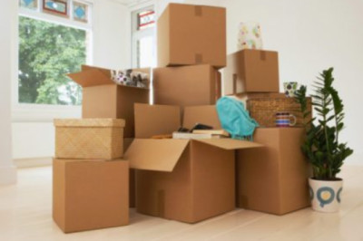 Removalist Guide