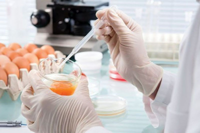 Food Safety Testing Market Share, Growth, Statistics, by Application, Production, Revenue & Forecast