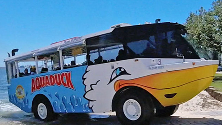 Gold Coast’s Best | Attractions, Tours and More