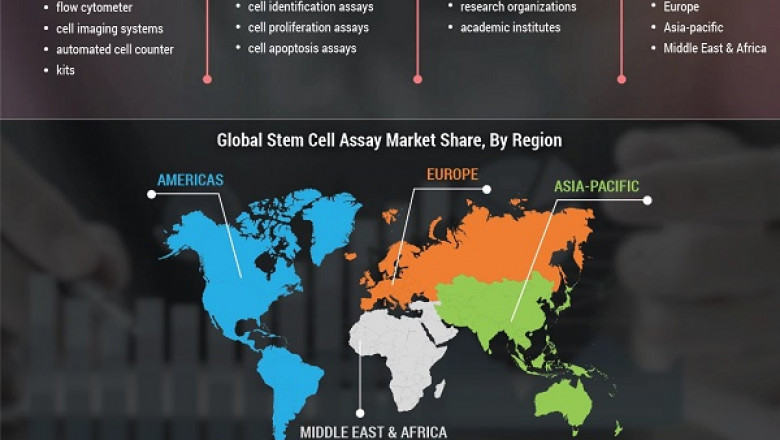 Stem Cell Assay Market Size, Top Key players Analysis, Future Business Insights and Statistics Analysis Report Forecasts 2022-2028