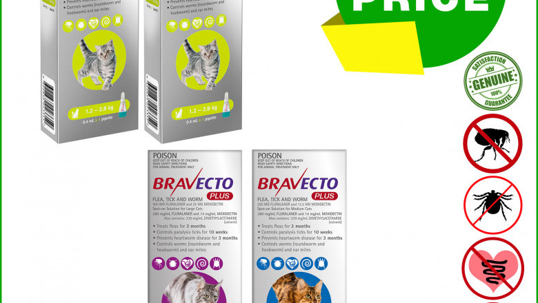 BRAVECTO PLUS for Cats 2 Pipettes Flea, Tick and Worm Prevention