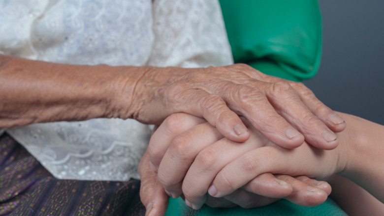 What is Palliative Care Services and How does it Work?