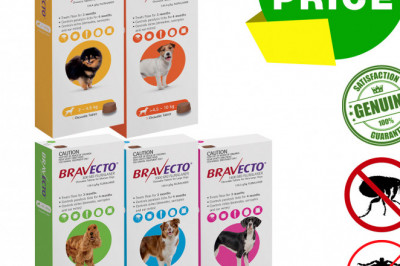 BRAVECTO 1 Chews for Dogs 3 months Tick and Flea Protection