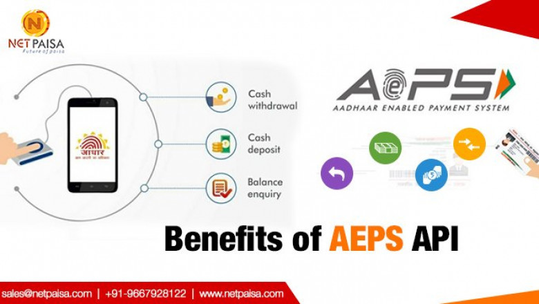 NetPaisa | AEPS | Recharge Software | IRCTC Software