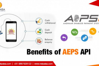 NetPaisa | AEPS | Recharge Software | IRCTC Software