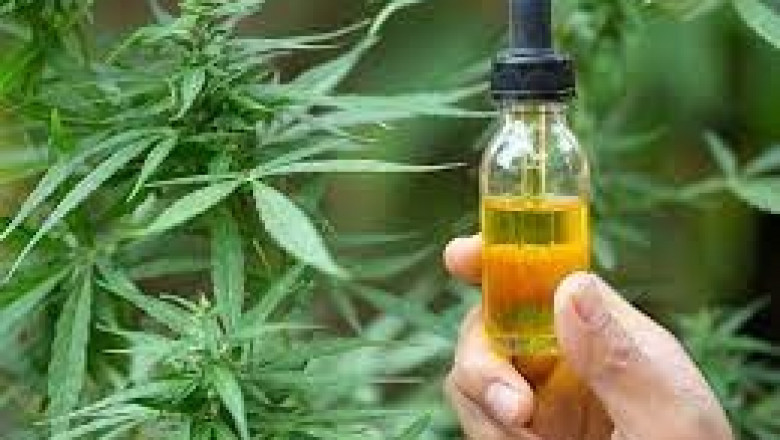 Tips on Best Cbd Oils You Can Use Today
