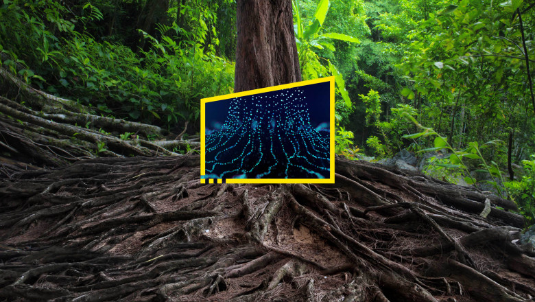 What does an Climate Change Consulting, social, and governance (ESG) consultant do?