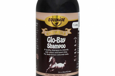 Equinade Showsilk Glo Bay Shampoo Online | DiscountPetCare