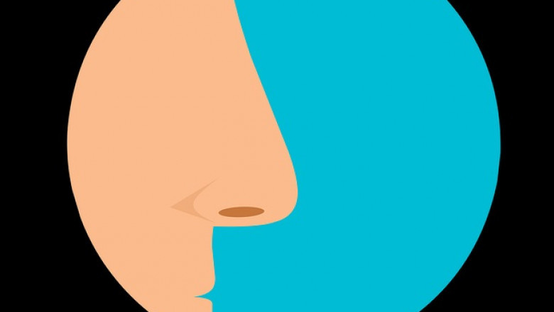 Global Sinusitis Treatment Market 2022 Expeditious Growth, Opportunities and forecast to 2027