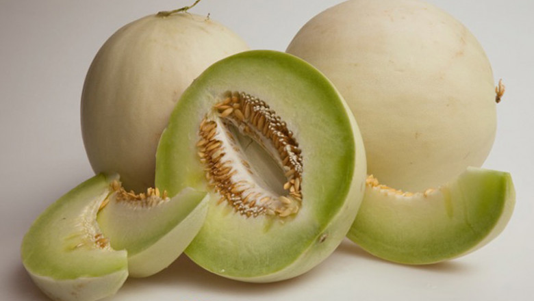 Melon Seeds Market Outlook