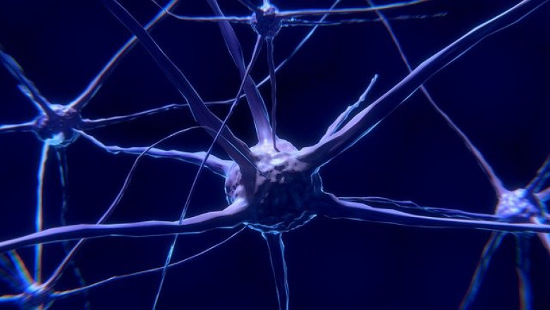 Neuroprosthetics Market Trends - Global Industry Analysis by Size, Share and Forecast 2022 – 2027
