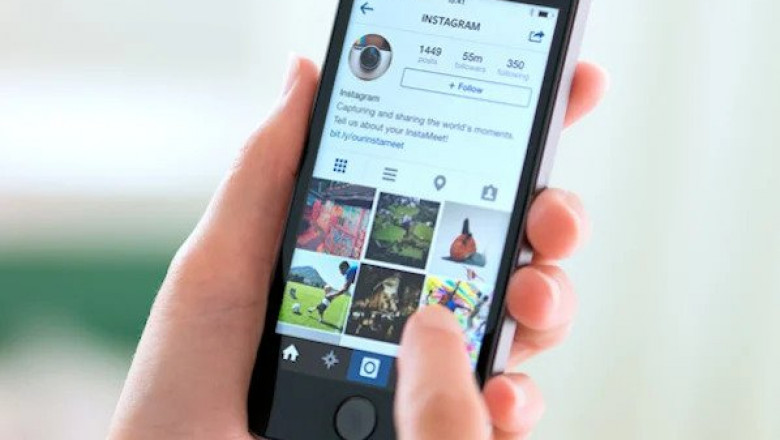 The Ultimate Guide to Instagram Followers - Prickdaily