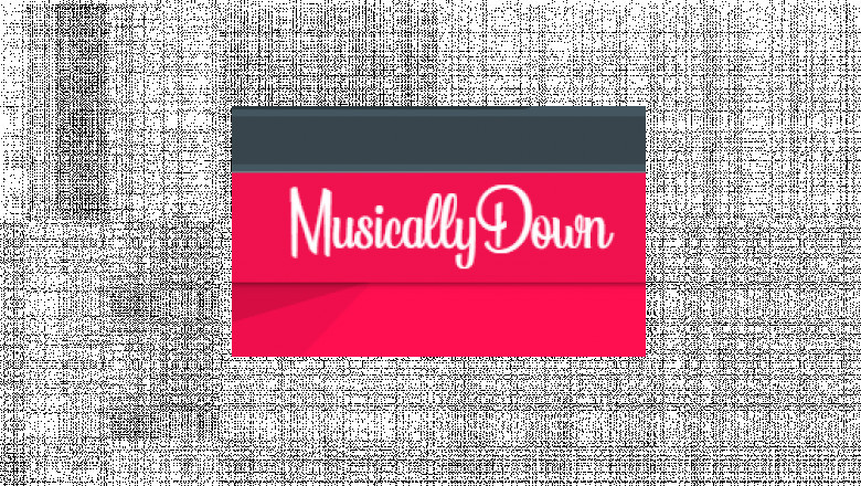 Tiktok Downloader