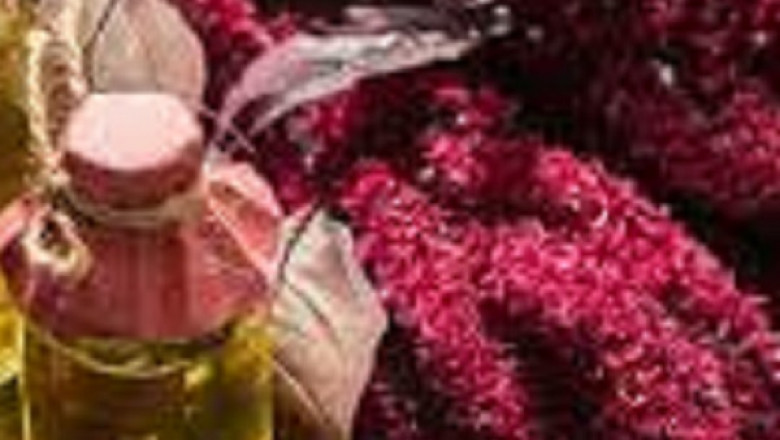 Amaranth Oil Market Size, Research, Trends, Key Players, Overview Forecast By 2028 | FLAVEX Naturextrakte GmbH, Sunsoil Pvt. Ltd