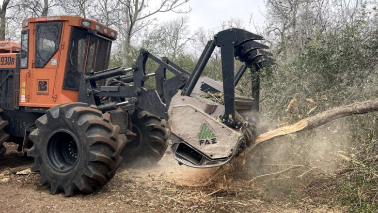 Land Clearing and underbrush clearing in Victoria County, Texas