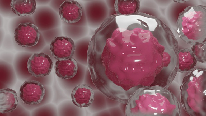Stem Cell Manufacturing Market Trends - Global Industry Growth and Forecast – 2027