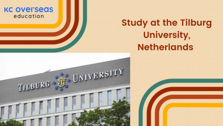 Tilburg – A one of the best universities to study in the Netherlands