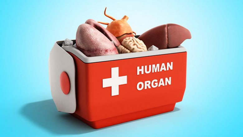 Transplantation Market Trends, Size, Segments, Emerging Technologies and Industry Growth by Forecast to 2028