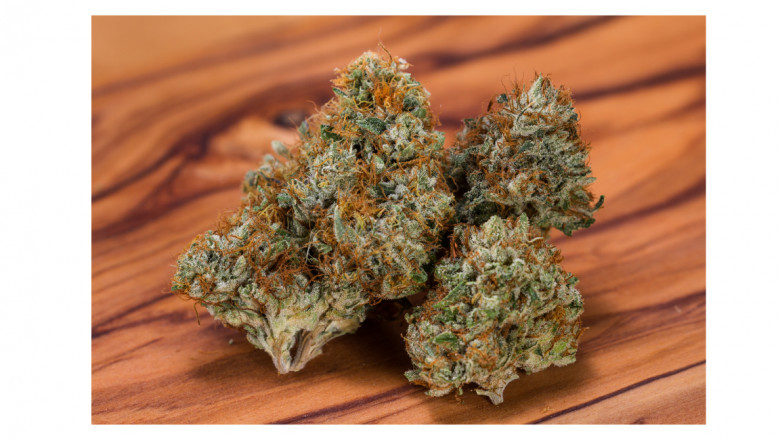 All About Hemp Buds