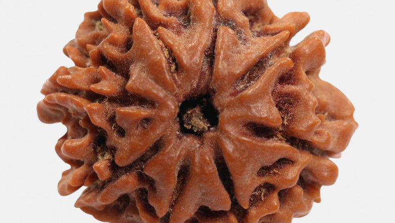 Benefits of Eight Mukhi Rudraksha