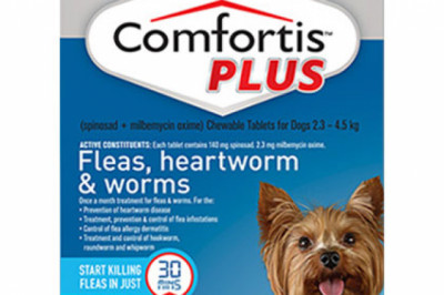 Dog Supplies | Discount Dog Foods, Products & Accessories Online | DiscountPetCare