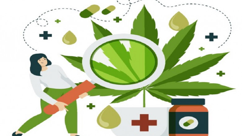 Everythings you Should Know Before Using Maria CBD Oil