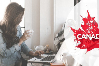 Immigration Consultant