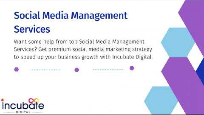 Social Media Management Packages