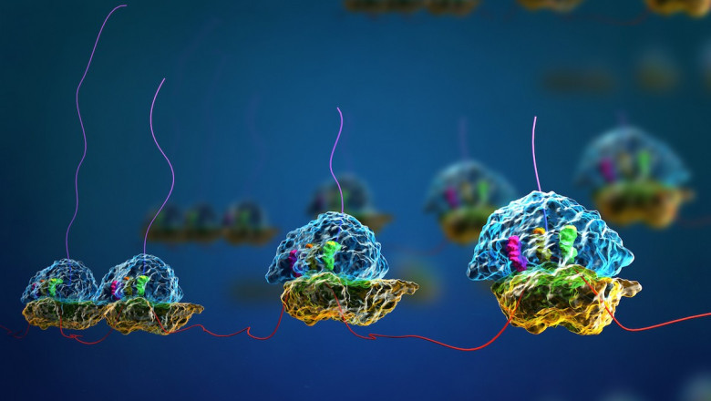 Cell-free Protein Expression Market Size & Revenue, SWOT Analysis, Business Prospects to 2019 - 2027