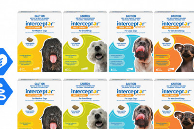 Interceptor Spectrum Worm Treatment for Dogs 12 Chews